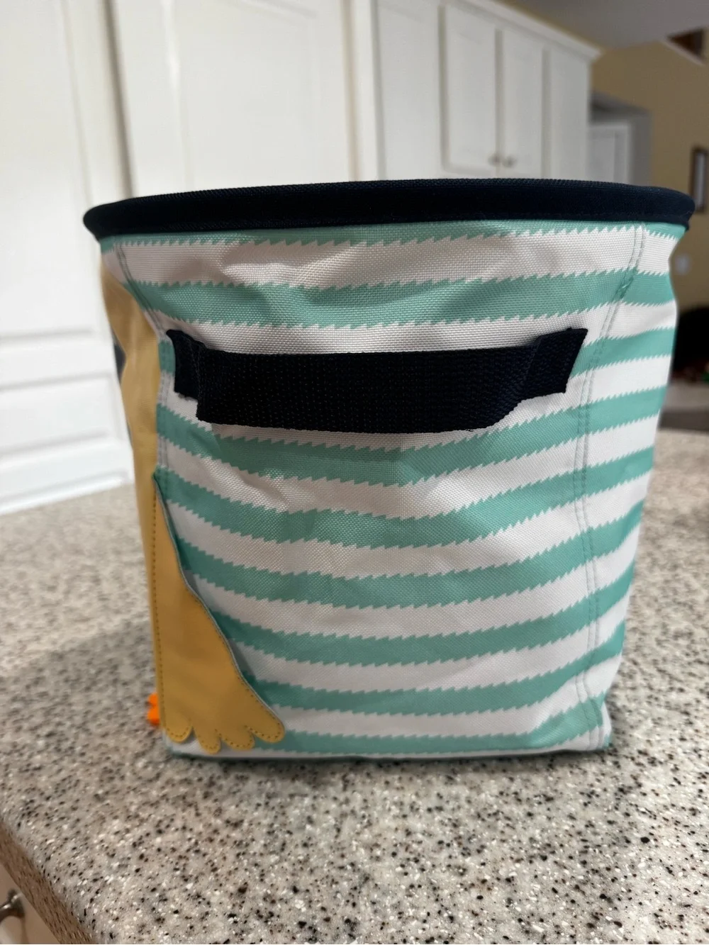 Thirty-One Chick basket